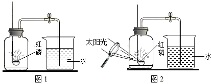 用數字與化學符號表示:(1)保持二氧化碳的化學性質的微粒CO2(2)鈣元素Ca(3)2個氧分子2O2 (4)2個氧原子2O(5)3個鈉原子3Na (6)3H表示3個氫原子(7)2個鎂離子2Mg2+ (8)2O2-表示2個氧離子(9)地殼中含量最多的金屬元素是Al(10)硫原子的結構示意圖. 題目和參考答案
